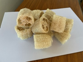 ヘチマたわしを作ろう