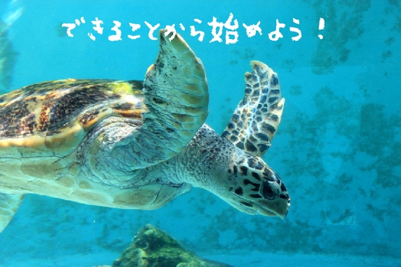 海洋汚染.jpg
