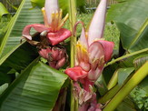 DSCN0126.JPG