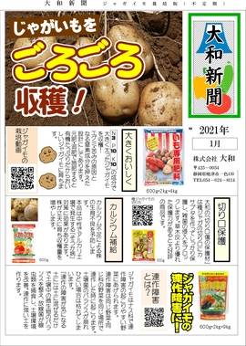 新聞(ジャガイモ）