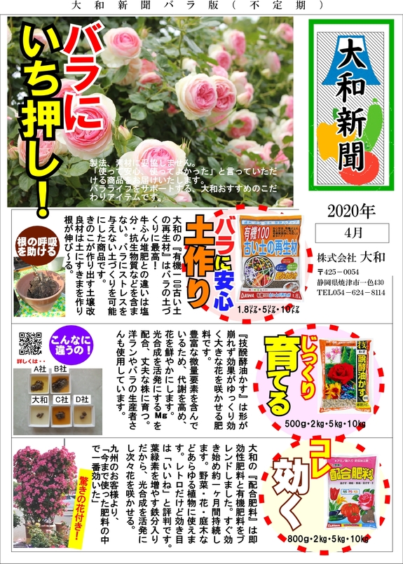 新聞（バラ）.jpg