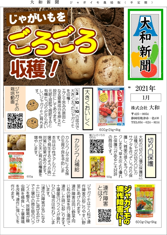 新聞(ジャガイモ）.jpg