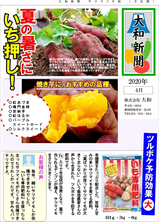 新聞（サツマイモ）.jpg