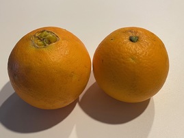 image0.jpeg