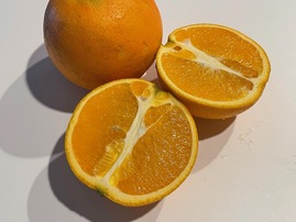 image1.jpeg