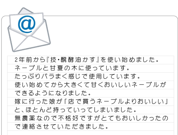 ネーブル.jpg