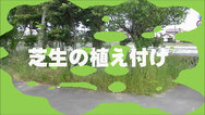 芝生の張り方
