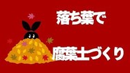 落ち葉で腐葉土づくり