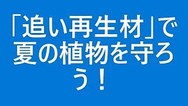 追い再生材で夏を快適にすごそう！