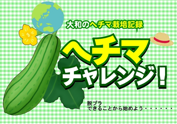 ヘチマチャレンジ　大和.jpg