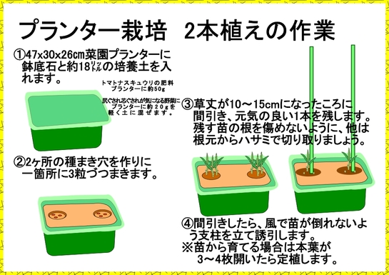 トウモロコシ栽培プランター１.jpg