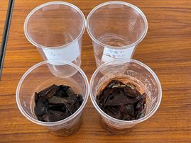 IMG_3176.JPG