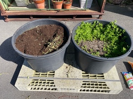 image22.jpeg