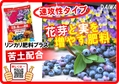 リンカリ肥料肥料　B6x4.jpg