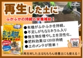 古い土の再生材と混ぜて使う肥料　 2B6x4.jpg