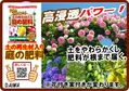 土の再生材入肥料　B6x4.jpg