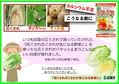 尻ぐされ芯ぐされ　秋2021.jpg