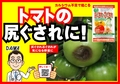 尻ぐされ芯ぐされが気になる野菜に　トマトの尻ぐされに効くB6x4.jpg
