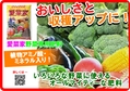 愛菜家　B6x4.jpg