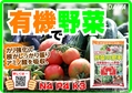 有機100野菜の肥料　B6x4　2011.jpg