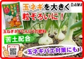 玉ねぎネギにんにくの肥料　玉ねぎ　B6x4.jpg