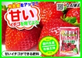 甘いイチゴができる肥料　B6x4.jpg