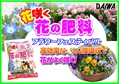 花の肥料　C　POP.jpg