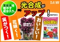 配合肥料　光合成を改善　B6x4.jpg