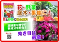 配合肥料　花・野菜　B6x4.jpg