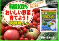 醗酵鶏ふんB6x4.jpg