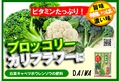 白菜キャベツホウレンソウの肥料 秋　B6x4.jpg