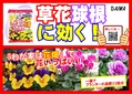 わが家は花畑　B6x4.jpg