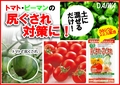 尻ぐされ　Ｂ６.jpg