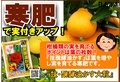 技・醗酵油かす 寒肥　B6x4.jpg