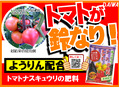 トマトナスキュウリの肥料　トマトが採れ採れ A4X2.png