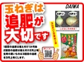 玉ねぎネギにんにくの肥料　追肥が大切ですB6x4.jpg