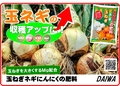 玉ねぎネギにんにくの肥料　2023　A3.jpg