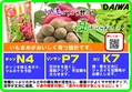 いもまめの肥料　B6x4.jpg