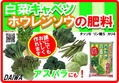 白菜キャベツホウレンソウの肥料　B6x4.jpg