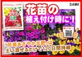 花苗あざやか元肥　B6x4.jpg