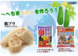 ヘチマチャレンジ！