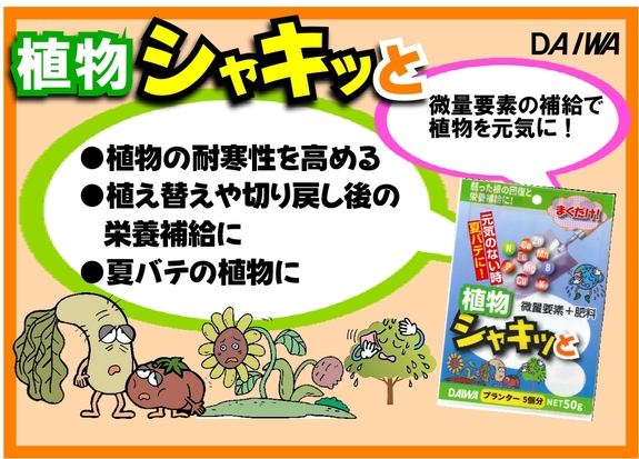 植物シャキッと オールシーズンPOP.jpg