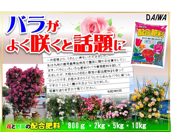 バラがよく咲くと話題に.jpg