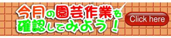 今月の園芸作業確認してみよう.png