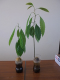 DSC00397.JPG