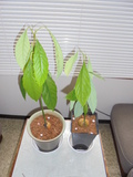 DSC00517.JPG