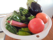 DSC00212.JPG