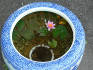 DSC00220.JPG