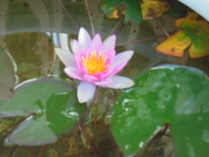 DSC00223.JPG