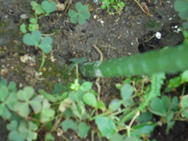 DSC00234.JPG